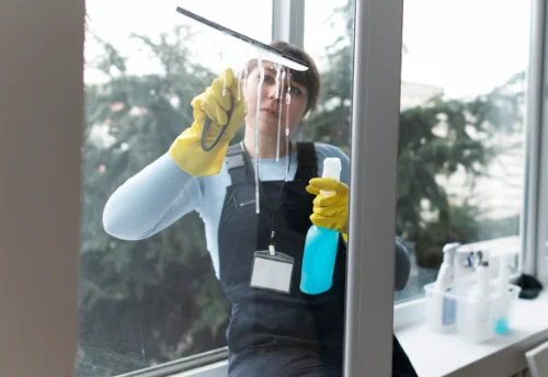Nettoyage de vitres intérieures et extérieures à Beauvoisin